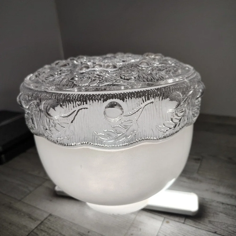 Vintage Glass Ceiling Light Shade Embossed Floral‎ Globe Frosted Diffuser 8x7